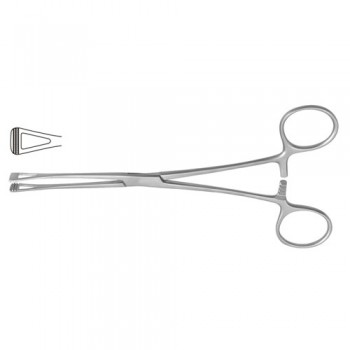 Scheibe (Collin) Atrauma Organ Grasping Forceps Narrow Jaw Stainless Steel, 18 cm - 7"